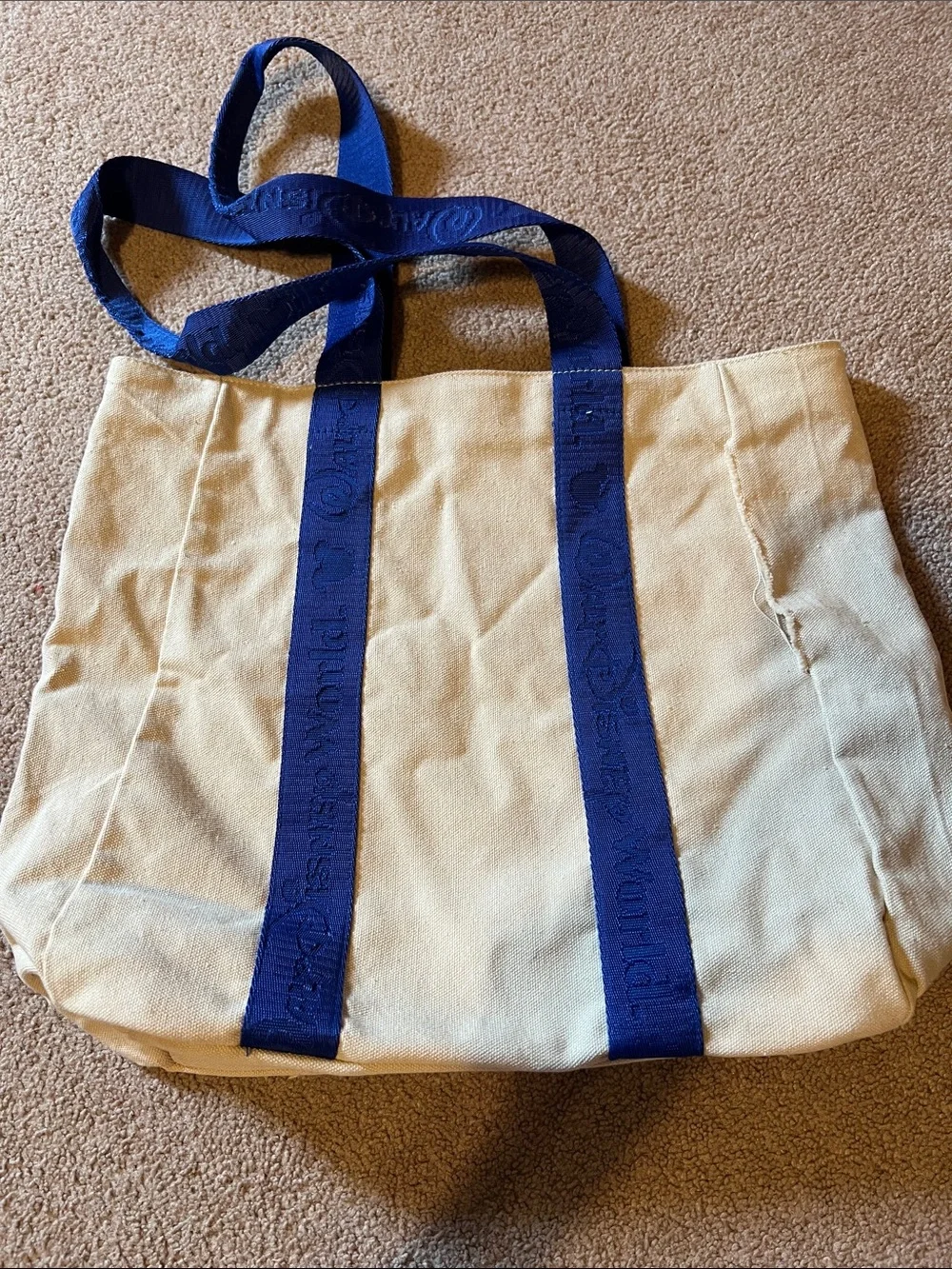 Walt Disney 1971 World Canvas bag with blue straps and embroidery.